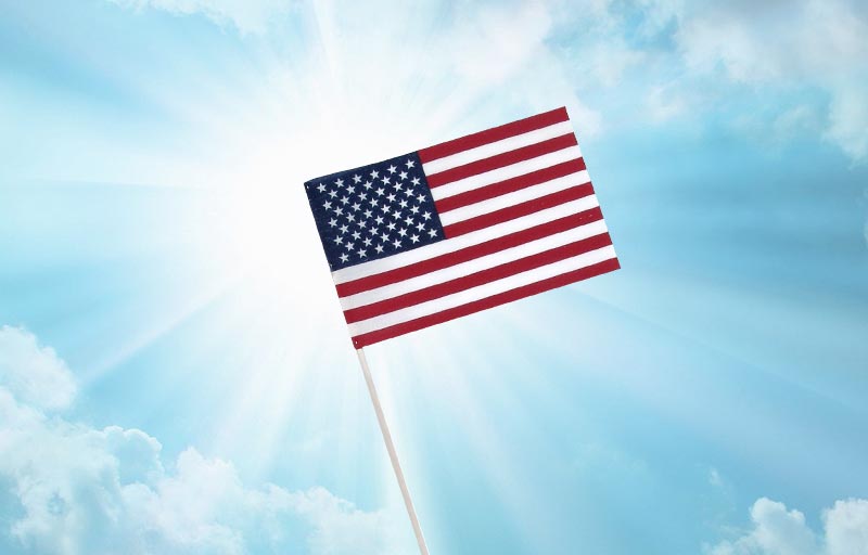 Iron Valley American Plastic Lawn Flags | BestPrintBuy.com